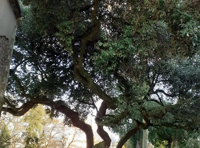 Rien Que Pour Vous Proche Centre Apartmán *