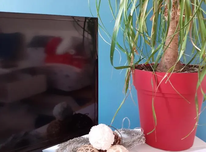 Rien Que Pour Vous Proche Centre Apartmán